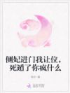 侧妃进门我让位,死遁了你疯什么